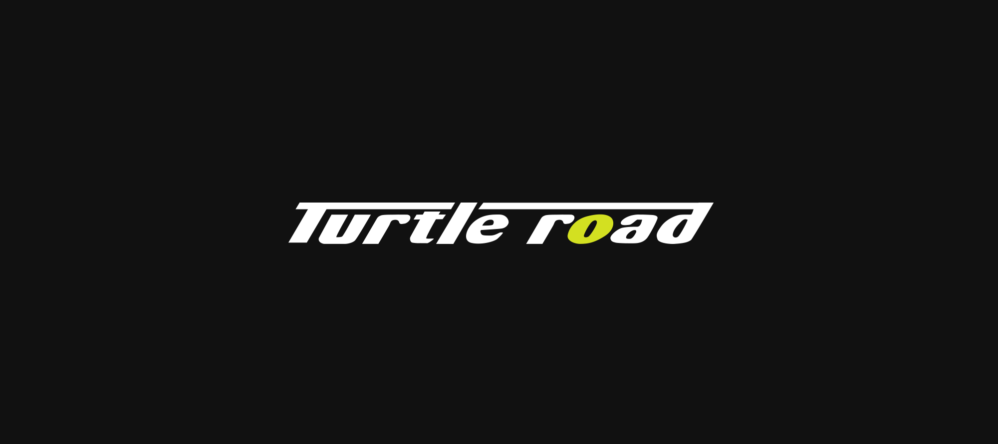 Turtle road